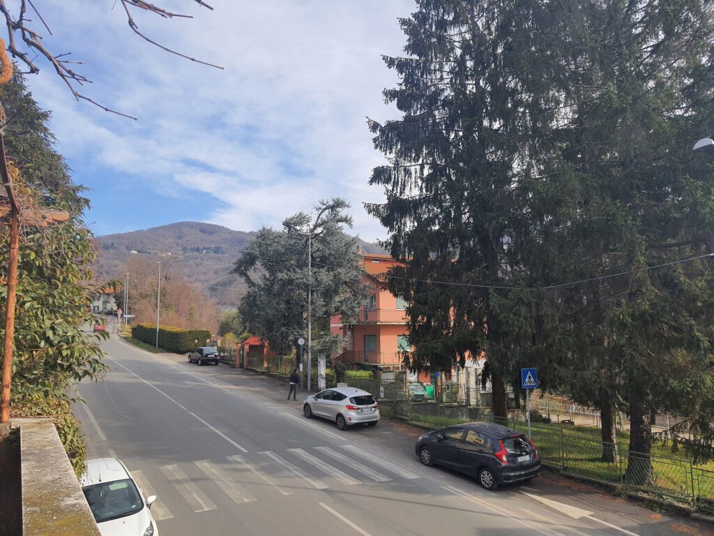 Vista