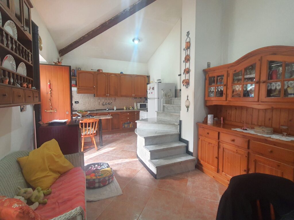Zona living