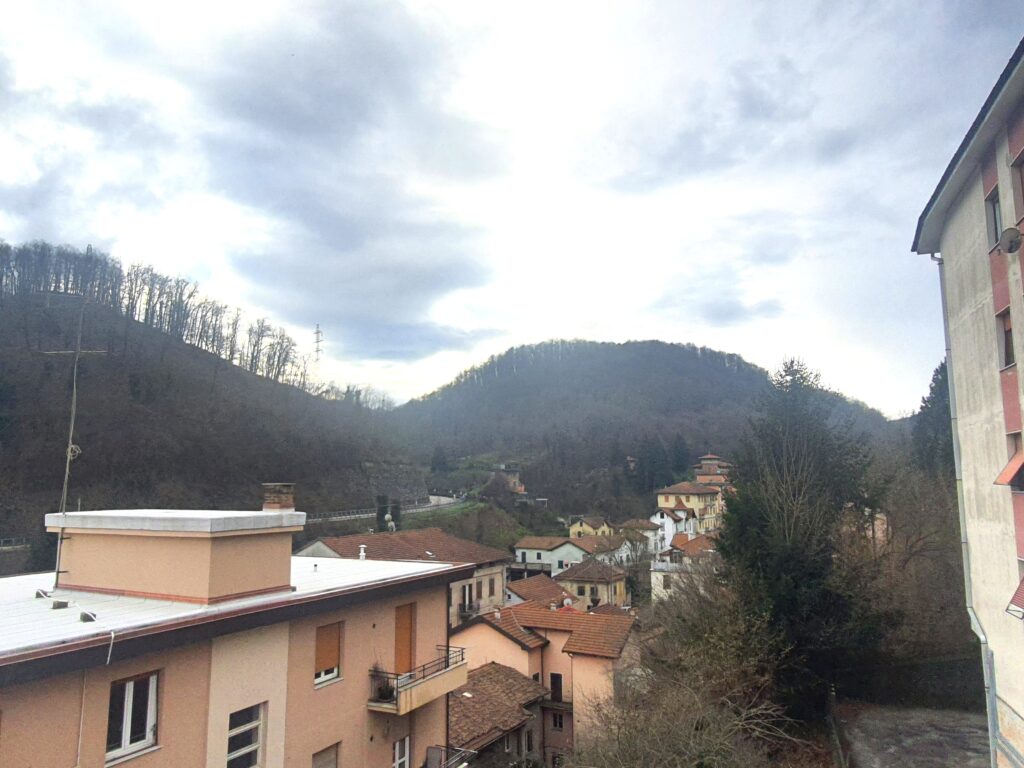 vista