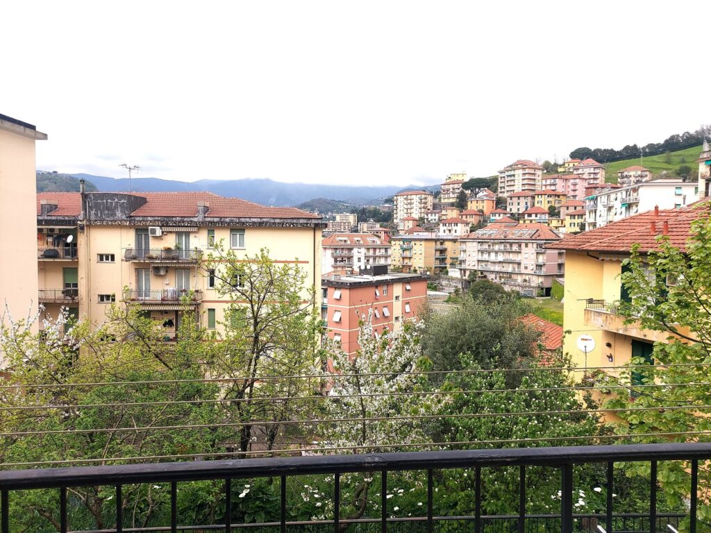 vista