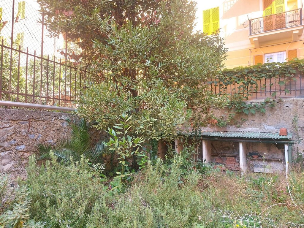 giardino