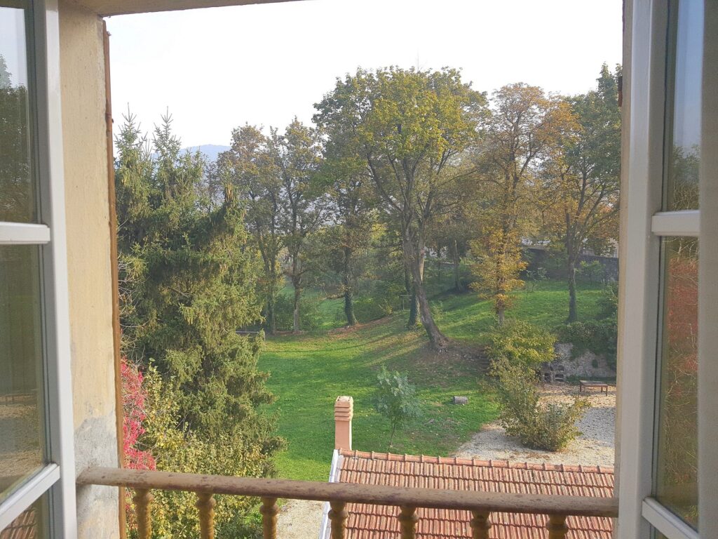 vista